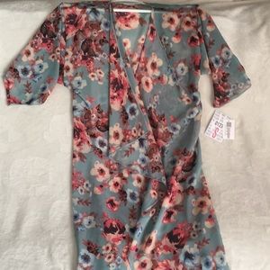 Small sheer Shirley, beautiful blue and pink. NWT